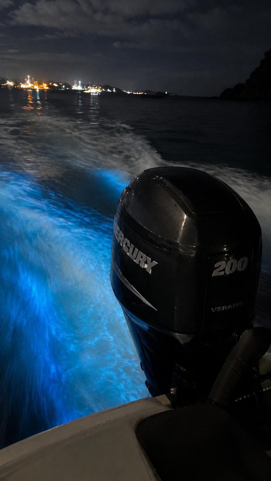Bioluminescent blue-green water at night